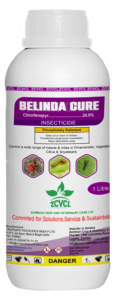 BELINDA CURE