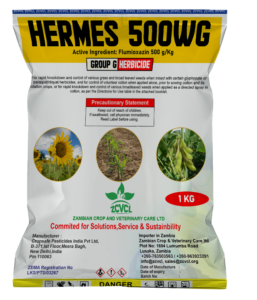 HERMES 500 WG
