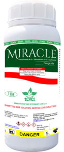 MIRACLE