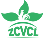 ZCVCL